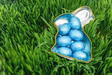 Yeşil çimlerin üzerinde mavi Paskalya yumurtalarıyla dolu tavşan şeklinde bir kap.