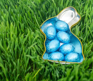 Yeşil çimlerin üzerinde mavi Paskalya yumurtalarıyla dolu tavşan şeklinde bir kap.