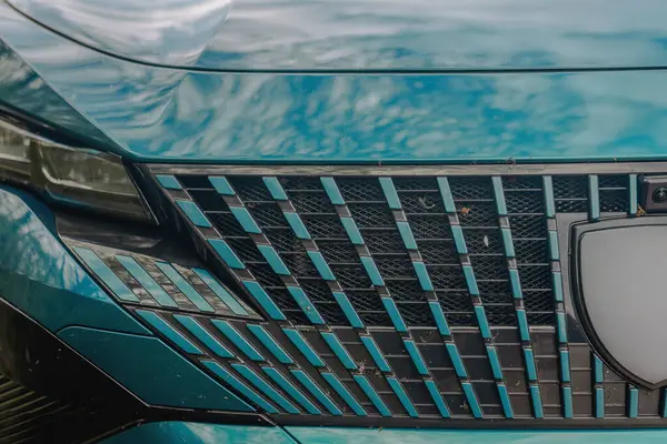 Uzun bir yolculuktan sonra araba ön ızgarasında böcek kalıntıları var.