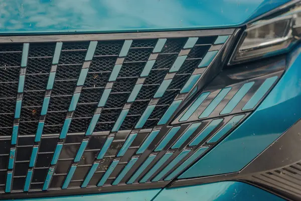 Uzun bir yolculuktan sonra araba ön ızgarasında böcek kalıntıları var.