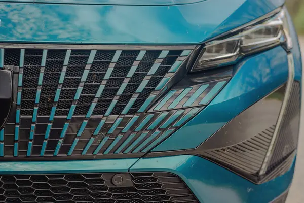 Uzun bir yolculuktan sonra araba ön ızgarasında böcek kalıntıları var.