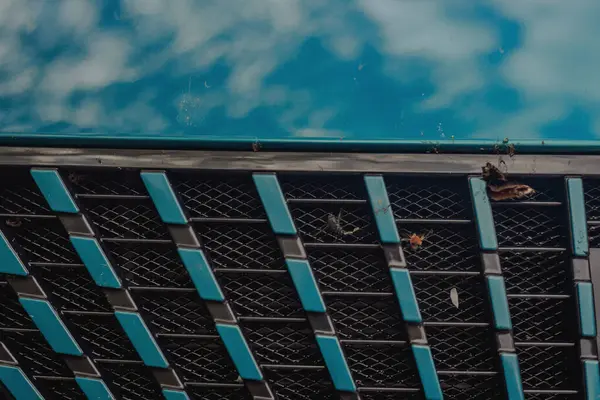 Uzun bir yolculuktan sonra araba ön ızgarasında böcek kalıntıları var.