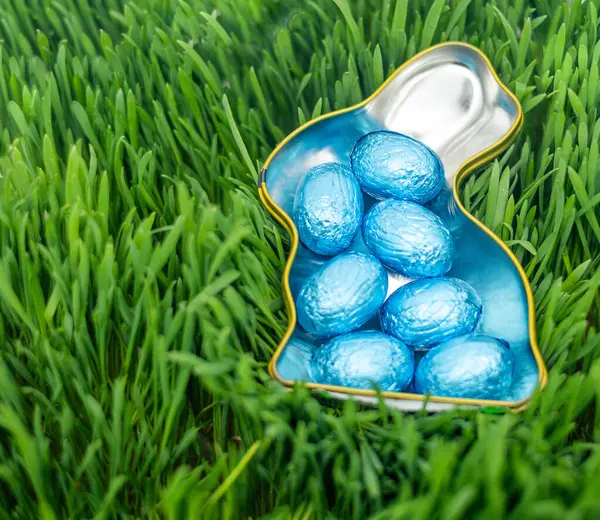Yeşil çimlerin üzerinde mavi Paskalya yumurtalarıyla dolu tavşan şeklinde bir kap.