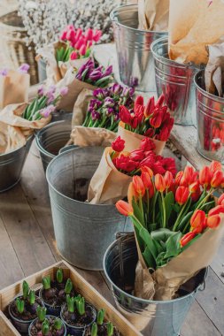 Baharda çiçek fuarı. Çiçekler, laleler