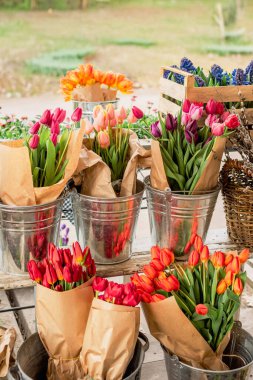 Baharda çiçek fuarı. Çiçekler, laleler