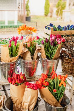 Baharda çiçek fuarı. Çiçekler, laleler