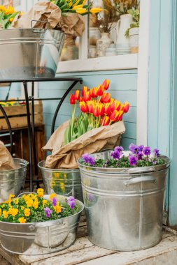 Baharda çiçek fuarı. Çiçekler, laleler