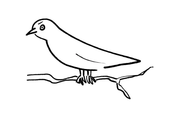 Vzteklý Pták Sedí Větvi Jednoduché Vektorové Ilustrace — Stockový vektor