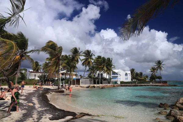 Aralık 2019 Insanlar Guadeloupe Adası Ndaki Sainte Anne Plaj Tatili — Stok fotoğraf