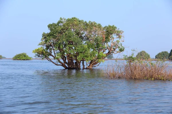Καμπότζη Τοπίο Της Λίμνης Tonle Sap Νοτιοανατολική Ασία — Φωτογραφία Αρχείου