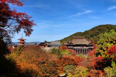 Kyoto simgeleri, Japonya. Sonbaharda Kiyomizu Dera Tapınağı.