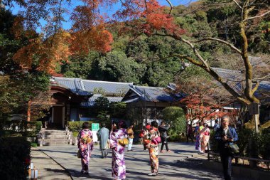 KYOTO, JAPONAN - 26 Kasım 2016: Geleneksel kimono kıyafetleri giyen kadınlar Japonya 'nın Kyoto kentindeki Kiyomizu-dera Tapınağını ziyaret ediyorlar. Kyoto 'nun 17 UNESCO Dünya Mirası Alanı var.