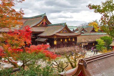 Kyoto, Japonya - 25 Kasım 2016: İnsanlar Kyoto, Japonya sonbaharda sırasında Kitano Tenmangu tapınak ziyaret edin. 2015 yılında Japonya 19,7 milyon yabancı turist ziyaret.