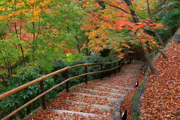 Árvores Outono Japão Caminho Parque Sob Folhas Momiji Vermelhas Laranja — Fotografia de Stock
