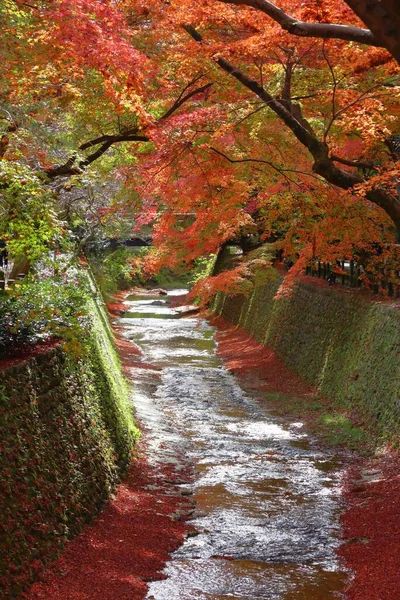 Herfst Japan Kleurrijke Bladeren Van Kitano Tenmangu Tuinen Kyoto — Stockfoto