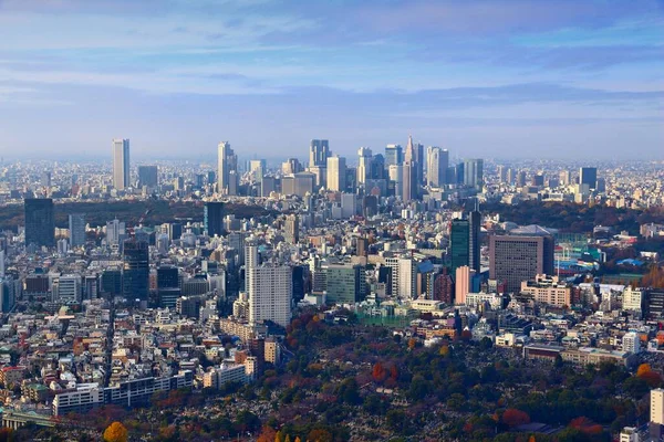 Tokyo City Skyline Japanese City View Shinjuku Minamiaoyama Jingumae Districts — Stock Photo, Image