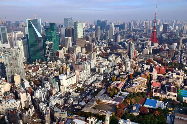 Tokyo Japan December 2016 Аеростатний Вигляд Міста Азабу Роппонґі Районів — стокове фото