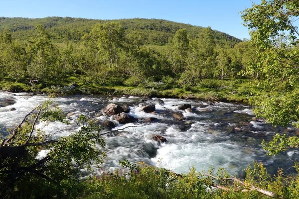 Noruega Paisagem Rio Hemla Perto Vale Setesdalen Perto Hovden Noruega — Fotografia de Stock