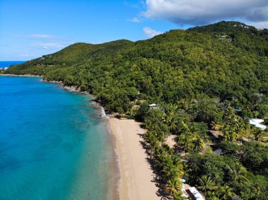 Guadeloupe etkileyici sahil drone manzarası. Karayip tatil manzarası. Basse-Terre adasındaki Grande Anse kumlu plajı..