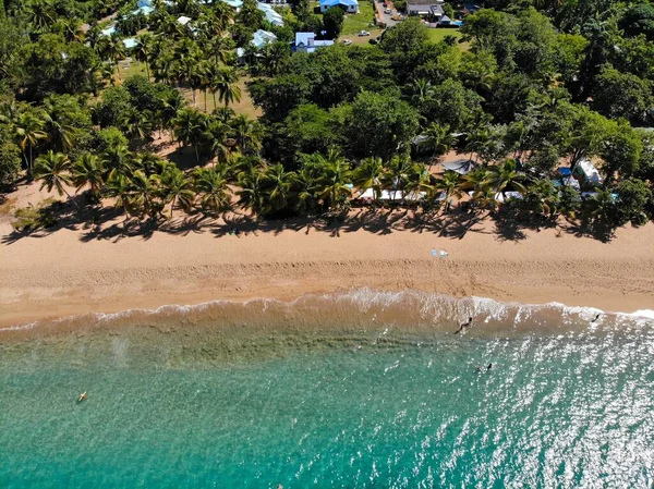 Guadalupe Espectacular Vista Playa Drones Paisaje Caribeño Grande Anse Playa — Foto de Stock