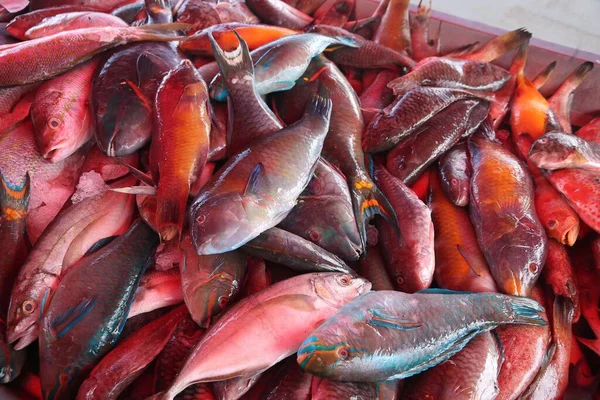 ポイント ピトルのグアドループ魚市場 グアドループ最大の都市 鯛とラス — ストック写真