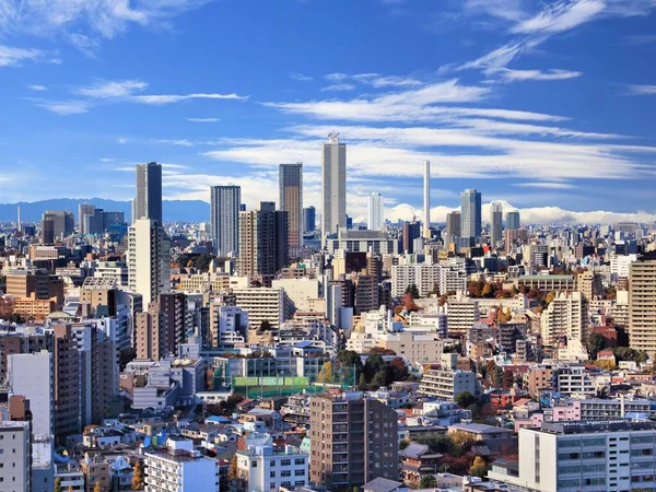 Tokyo Cityscape View Koishikawa District Bunkyo Ward Ikebukuro Skyline Toshima — Stock Photo, Image