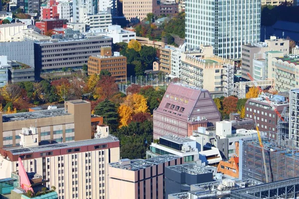 Авіаційний Вид Місто Токіо Район Шибакоен Мінато Ворді — стокове фото