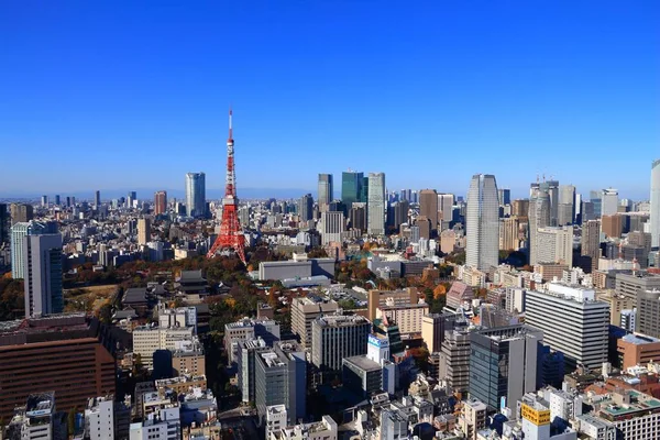 Tokio Japonsko Prosince 2016 Tokijská Městská Krajina Slavnou Tokijskou Věží — Stock fotografie