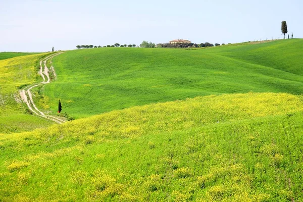 Пейзаж Долины Валь Орча Весна Тоскане Италия — стоковое фото
