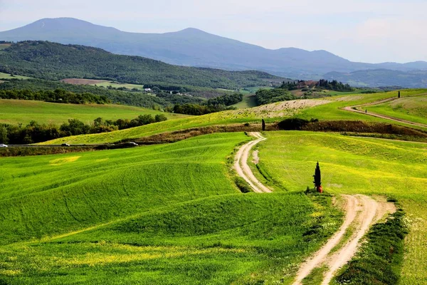 Toscana Italia Vårutsikt Val Orcia Dalens Landskap – stockfoto