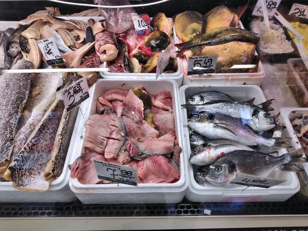 ポーランド カトヴィツェ 2022年12月9日 ポーランド カトヴィツェの専門店で値札付き魚の様々なタイプ — ストック写真