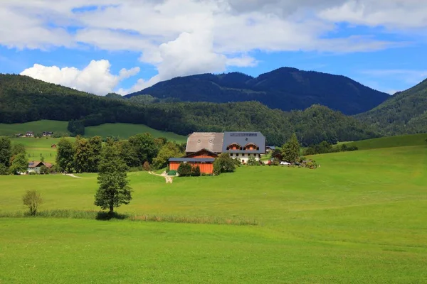 Oostenrijk Zomer Landelijk Landschap Bij Bad Ischl Salzkammergut Groene Weiden — Stockfoto