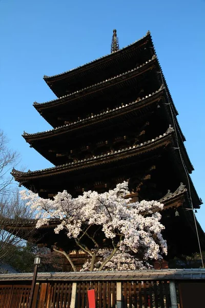 Kjóto Japonsko Yasaka Pagoda Třešňové Květy Sakura Část Seznamu Světového — Stock fotografie