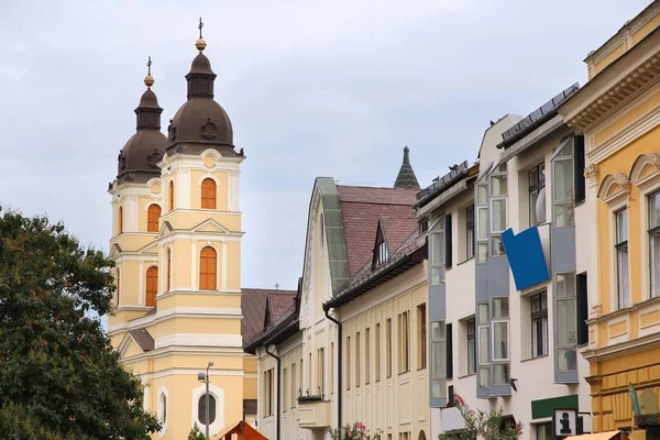 ハンガリーのニレジハザ 旧市街の建築 通りの眺め — ストック写真