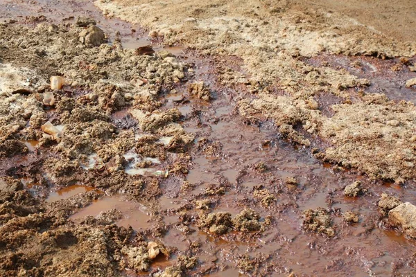 死海泥浆与以色列的盐沉积混合在一起 死海泥具有治疗作用 可用于护肤化妆品 — 图库照片