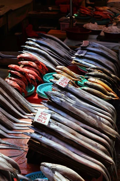 韩国釜山的鱼类市场 在Jagalchi鱼市场 银发尾鱼也被称为弯头鱼 Cutlassfish 韩文的标牌上写着鱼的名字 — 图库照片