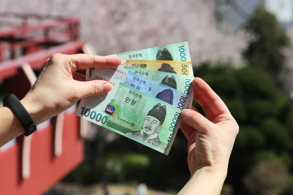 Южная Корея Выиграла Валюта Южной Кореи Держание Подержанных Банкнот Деньги — стоковое фото