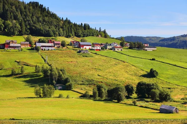 Boerderijen Weiden Noorwegen Landbouwgebied Regio Sunnfjord Gemeente Provincie Vestland — Stockfoto