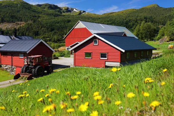 Forde Norway 2020年7月24日 ソング フジョーダン郡の典型的な農家 ノルウェーには非常に集中的な夏の季節があり 非常に短い成長期があります — ストック写真