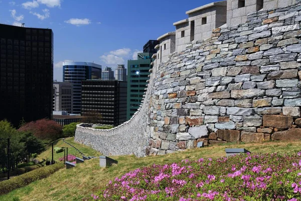 Paredes Cidade Seul Azáleas Florescendo Primavera Namsan Park View — Fotografia de Stock