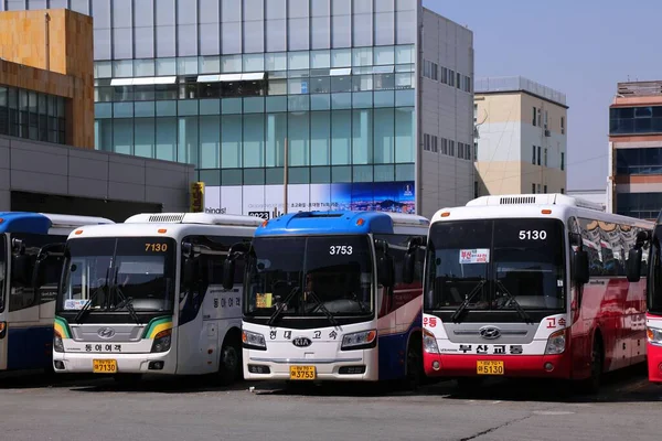 韓国釜山 2023年3月31日 釜山の佐山地区の西武バスターミナルでコーチバス — ストック写真