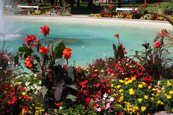Städtisches Blumenbeet Spittal Und Der Drau Österreich Gemischtes Blumenbeet Mit — Stockfoto