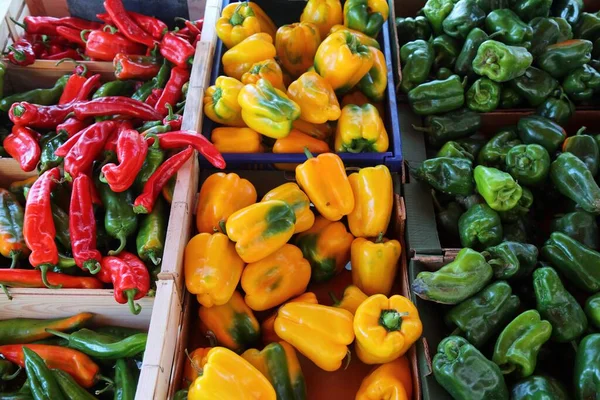Peppers Local Farmer Market Orange Town Provence Region France — Stock Photo, Image