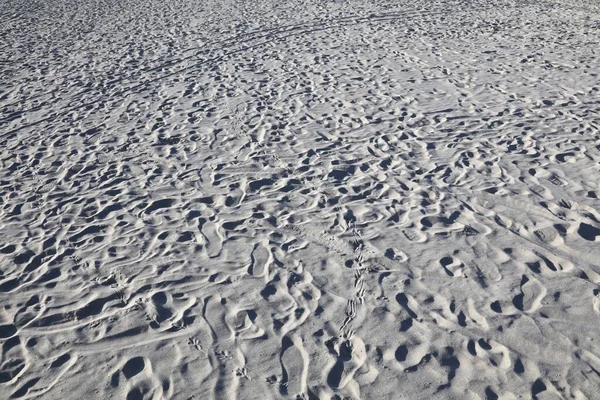 Следы Людей Птиц Белом Песке Пляже Синта Итальянской Области Фелиния — стоковое фото