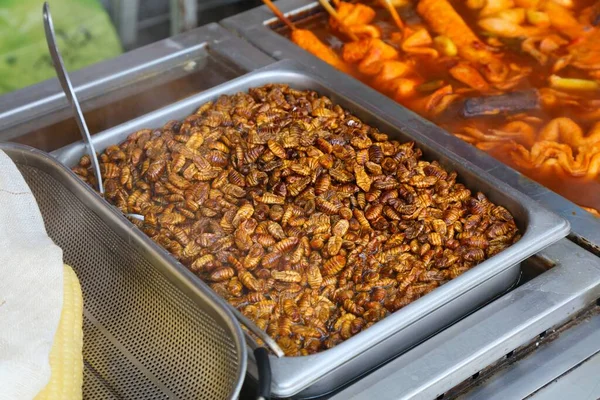 韩国釜山街头小吃 昆虫作为食物 — 图库照片
