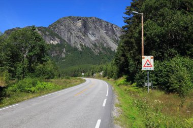 Norveç 'in Agder ilçesindeki Setesdal Vadisi' nde bir dağ yolunda geyik geçidi uyarısı..