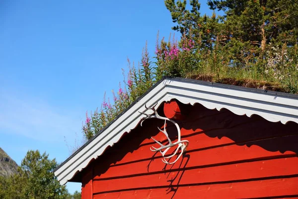 Norweski Dach Dachowy Tradycyjnej Kabiny Myśliwskiej Norweska Tradycyjna Architektura Dolinie — Zdjęcie stockowe