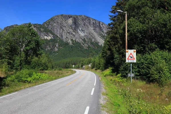 Moose Διασχίζοντας Προειδοποιητική Πινακίδα Ορεινό Δρόμο Στην Κοιλάδα Setesdal Στην — Φωτογραφία Αρχείου