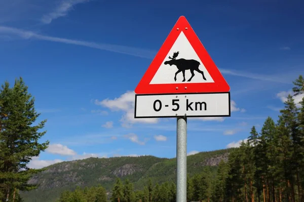 挪威Agder县Setesdal山谷一条山路上的麋鹿警告标志 — 图库照片