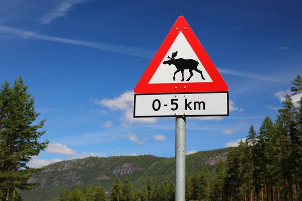 Moose warning sign at a mountain road in Setesdal valley in Agder county, Norway.